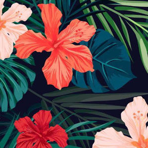 Meet your Posher, Aliyah